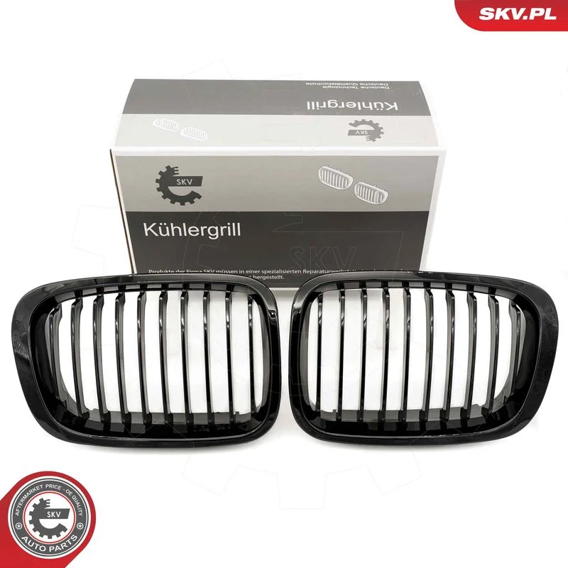 Radiator Grille ESEN SKV 66SKV060