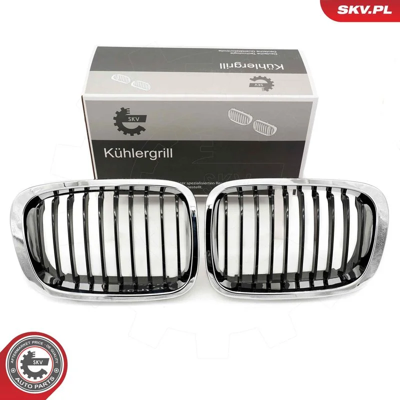 Radiator Grille ESEN SKV 66SKV064