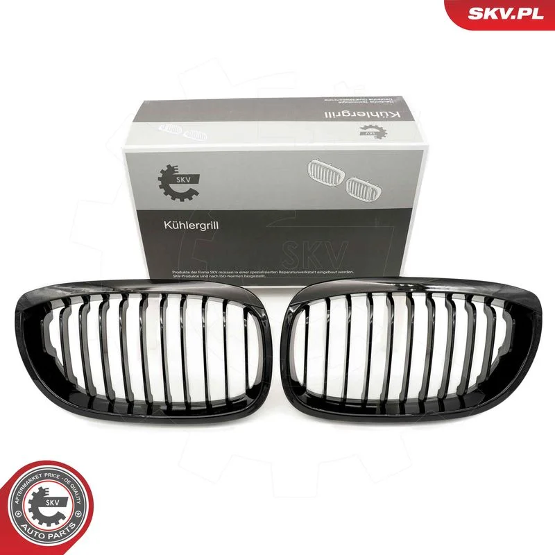 Radiator Grille ESEN SKV 66SKV068