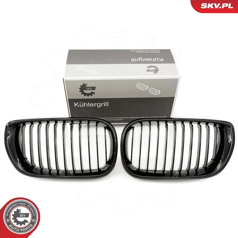 Radiator Grille ESEN SKV 66SKV075