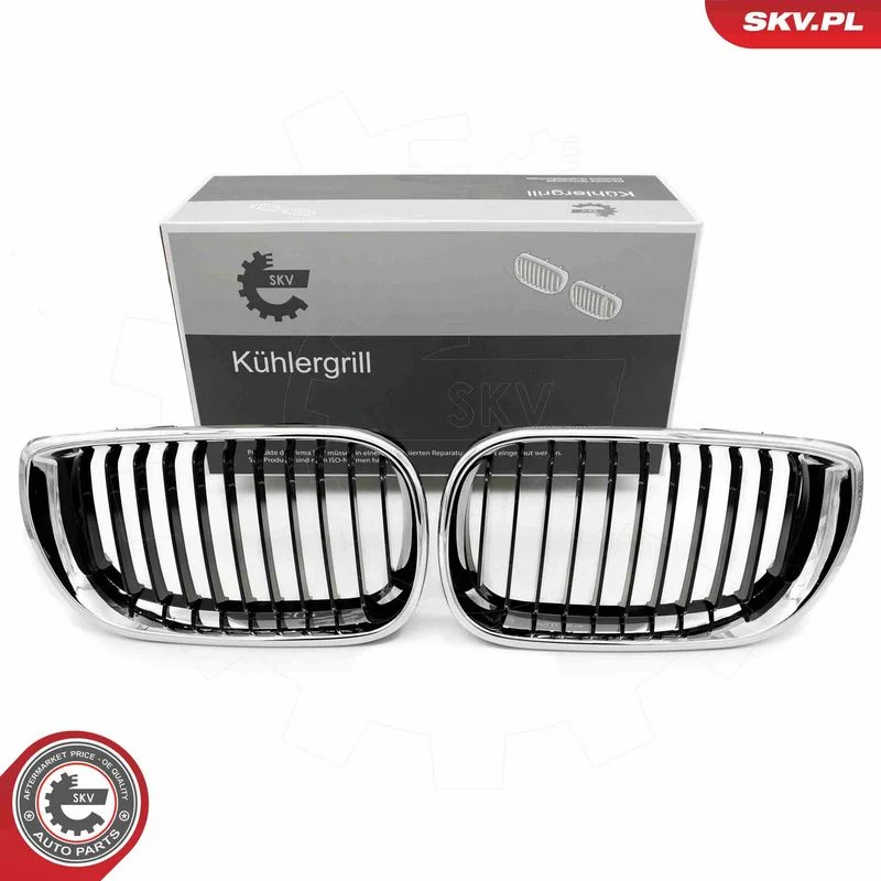 Radiator Grille ESEN SKV 66SKV079