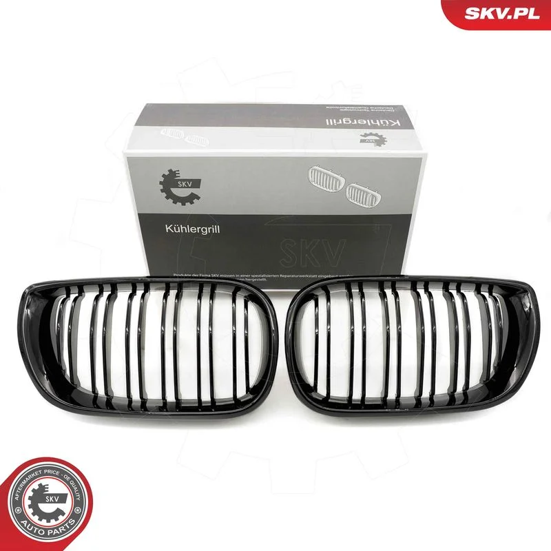 Radiator Grille ESEN SKV 66SKV081
