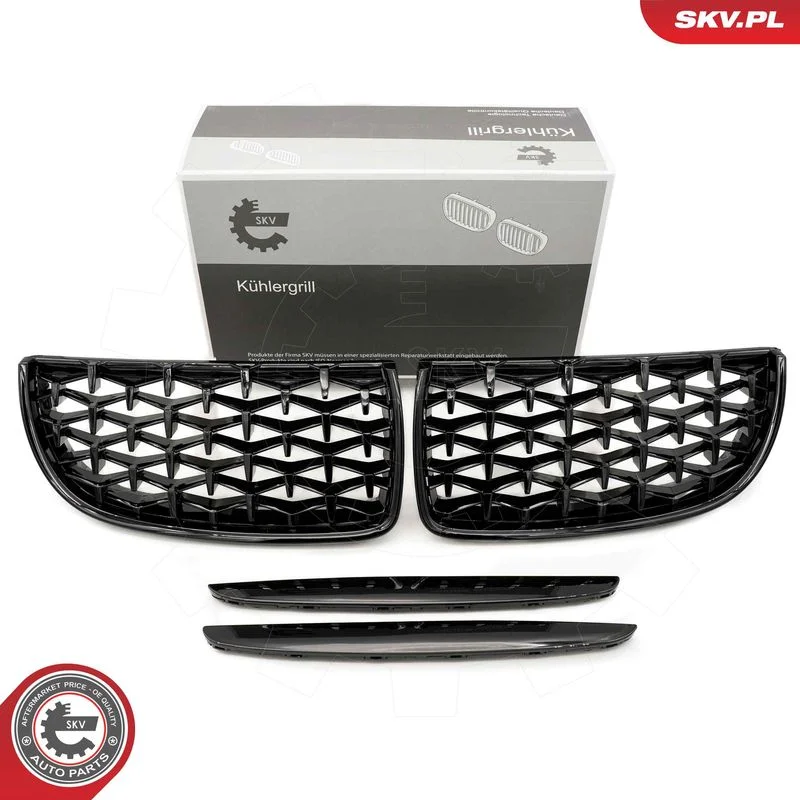 Grelha do radiador ESEN SKV 66SKV093