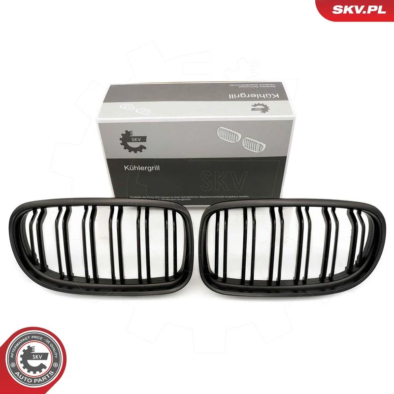 Radiator Grille ESEN SKV 66SKV101