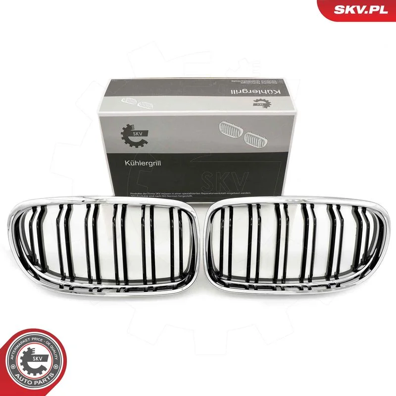 Grelha do radiador ESEN SKV 66SKV102