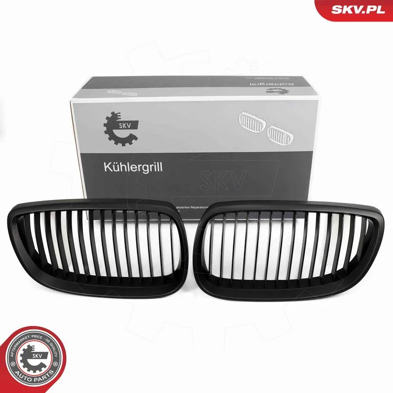 Radiator Grille ESEN SKV 66SKV105