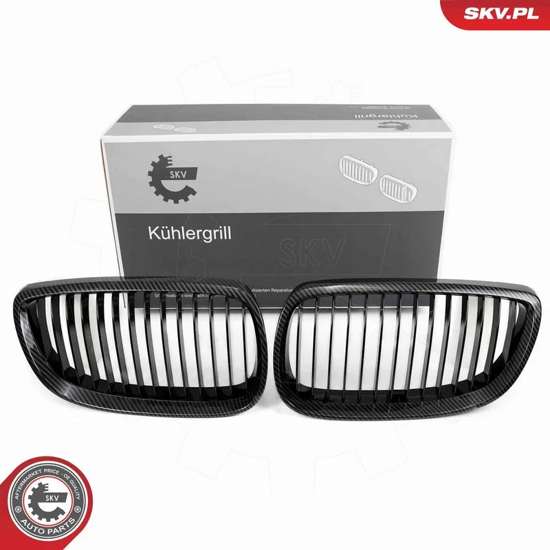 Grelha do radiador ESEN SKV 66SKV106