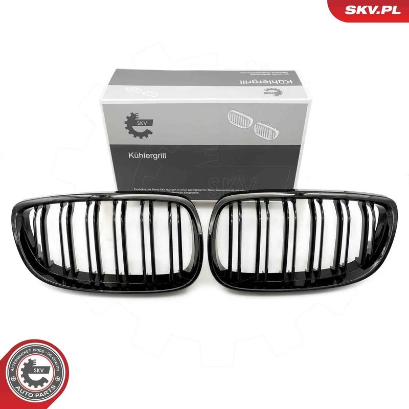 Radiator Grille ESEN SKV 66SKV107