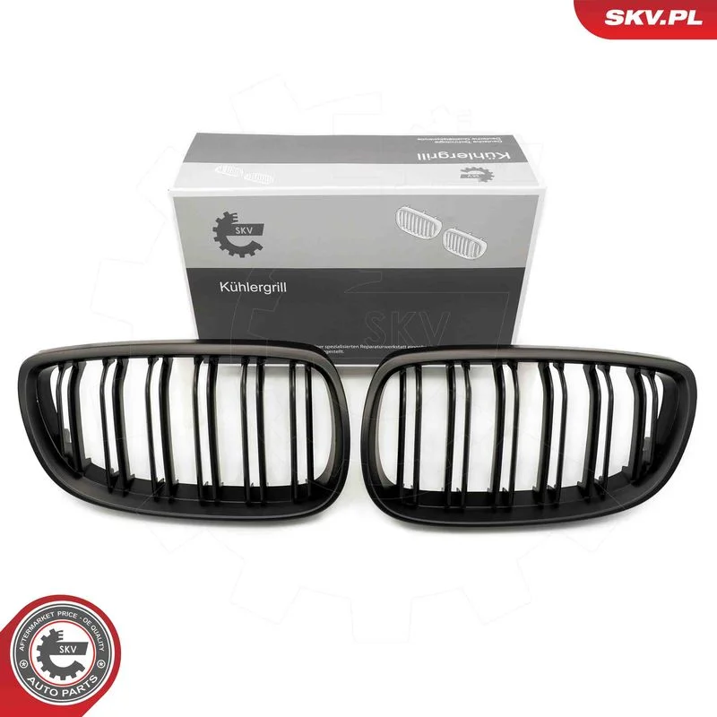 Radiator Grille ESEN SKV 66SKV109