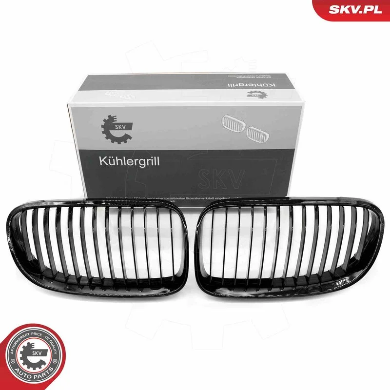Radiator Grille ESEN SKV 66SKV112