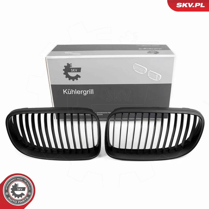 Radiator Grille ESEN SKV 66SKV113