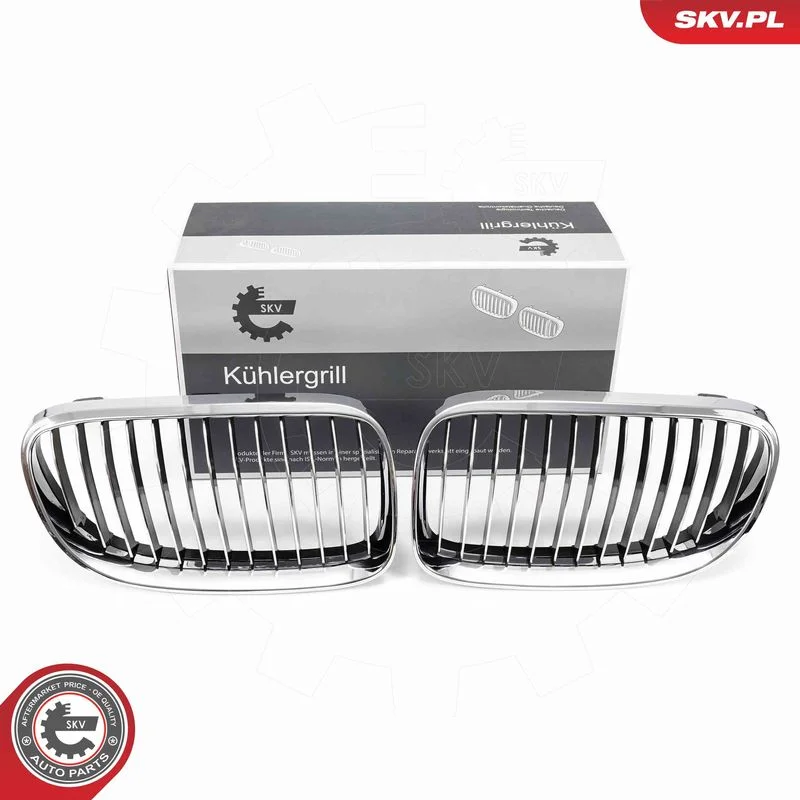 Grelha do radiador ESEN SKV 66SKV114