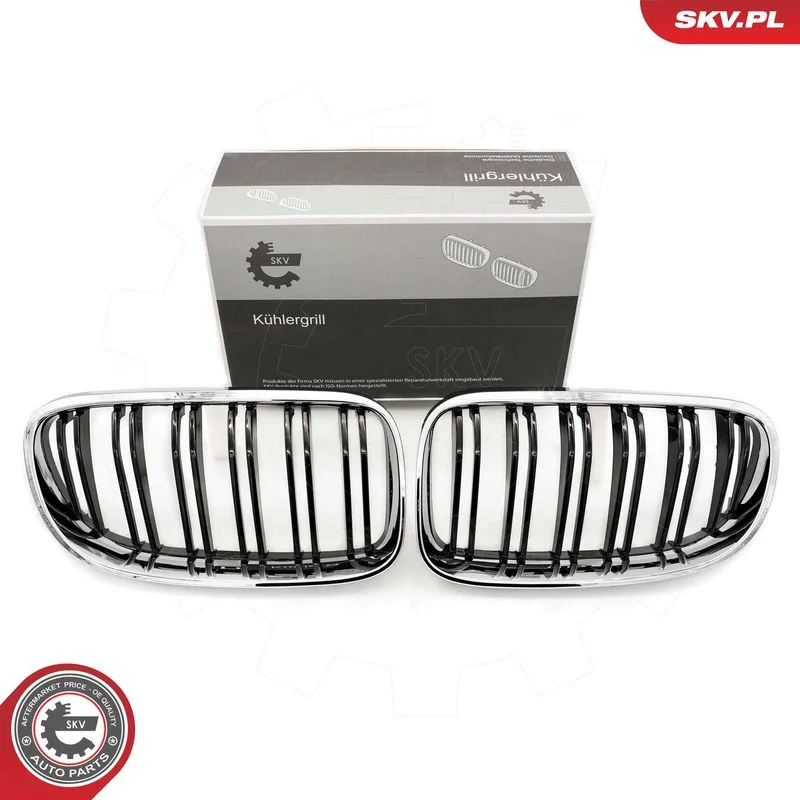Grelha do radiador ESEN SKV 66SKV118
