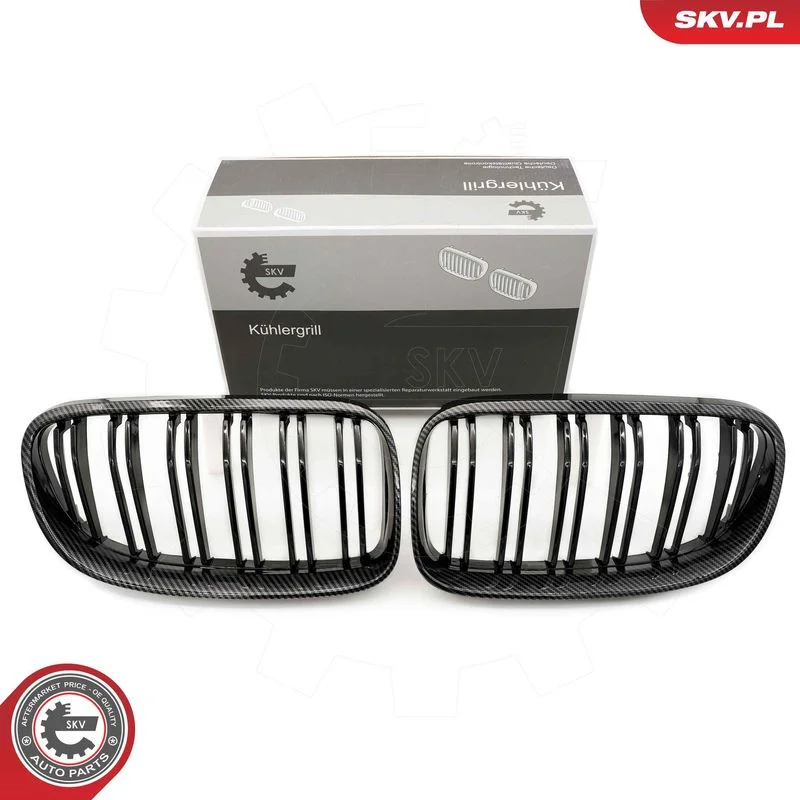 Grelha do radiador ESEN SKV 66SKV119