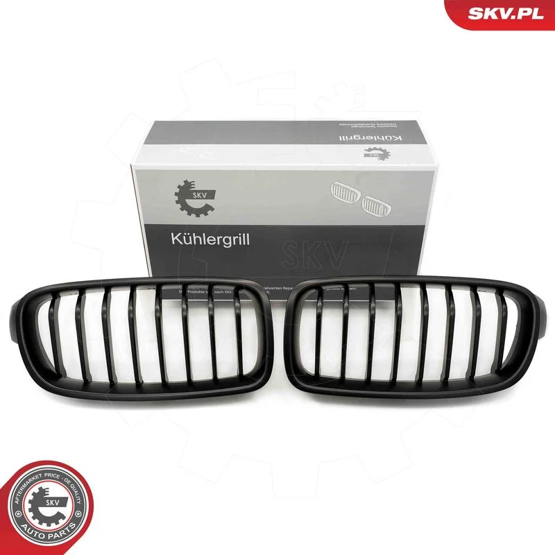 Radiator Grille ESEN SKV 66SKV121
