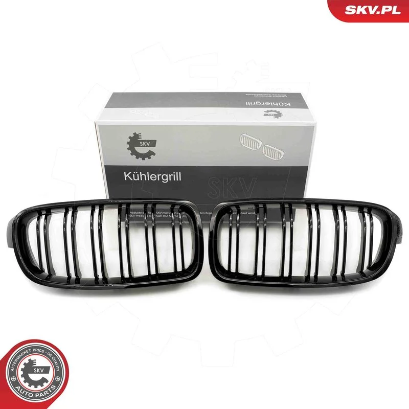 Radiator Grille ESEN SKV 66SKV123