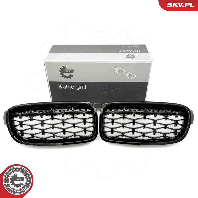 Grelha do radiador ESEN SKV 66SKV128