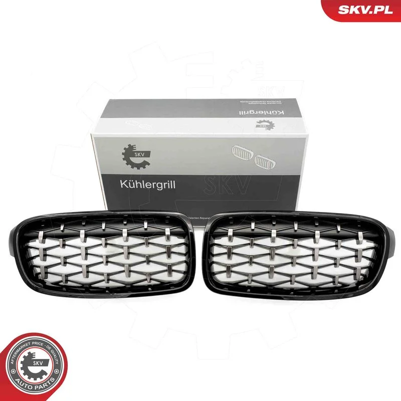 Grelha do radiador ESEN SKV 66SKV129