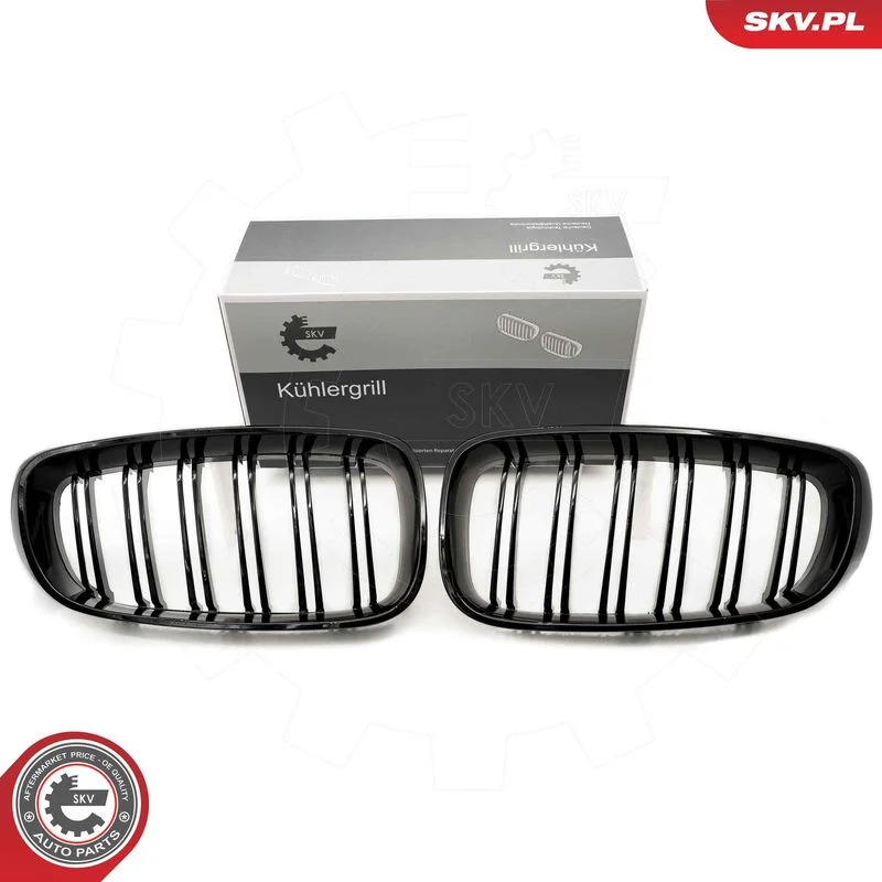 Grelha do radiador ESEN SKV 66SKV132