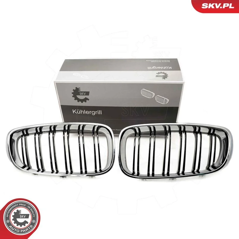 Radiator Grille ESEN SKV 66SKV134
