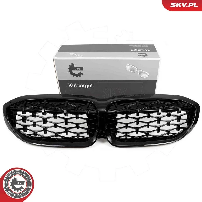 Grelha do radiador ESEN SKV 66SKV141