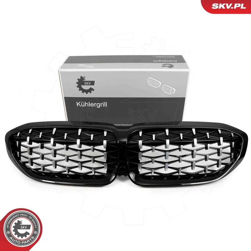 Grelha do radiador ESEN SKV 66SKV142
