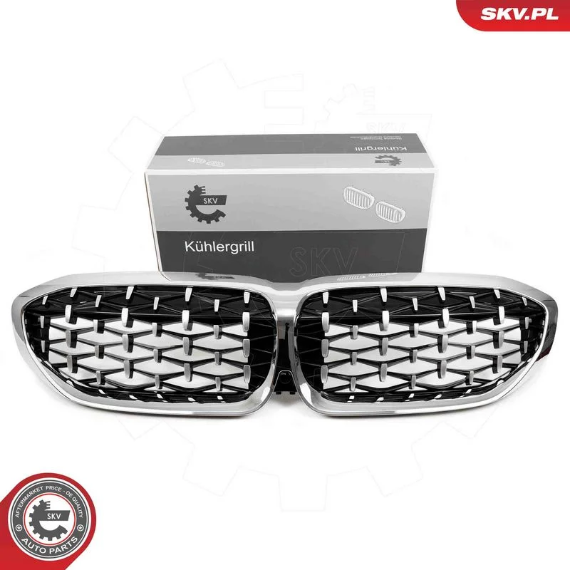Radiator Grille ESEN SKV 66SKV143