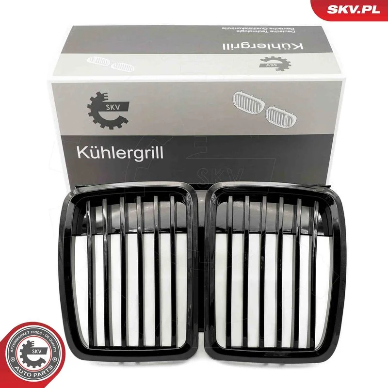 Radiator Grille ESEN SKV 66SKV146