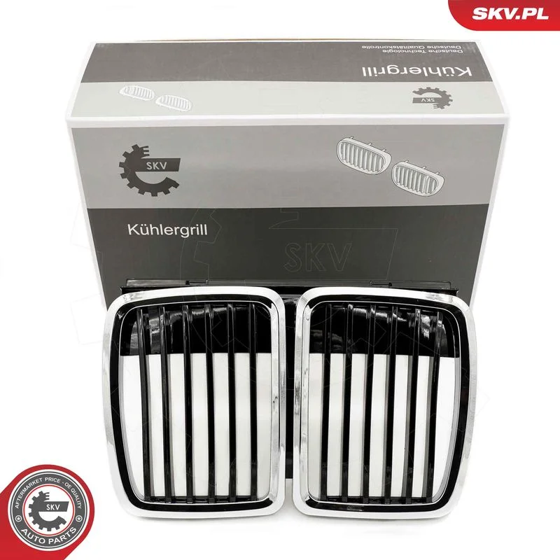 Grelha do radiador ESEN SKV 66SKV148