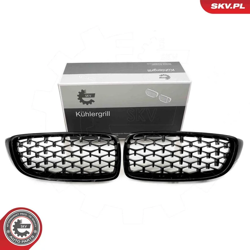 Grelha do radiador ESEN SKV 66SKV154