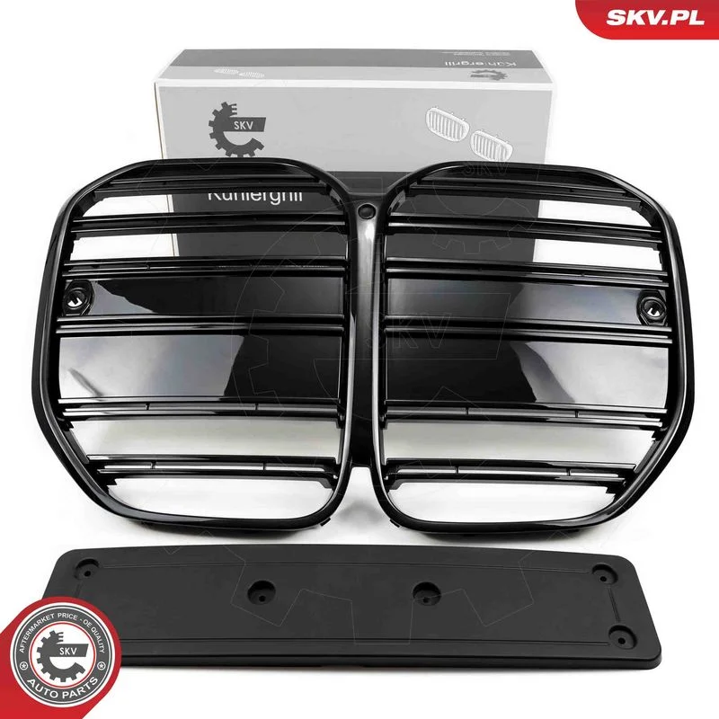 Grelha do radiador ESEN SKV 66SKV155