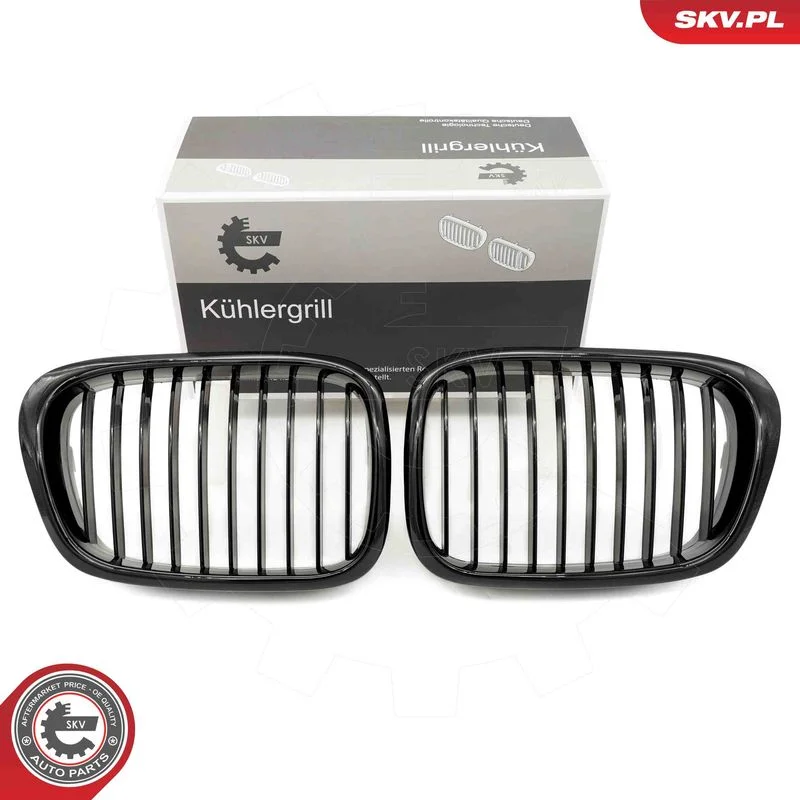 Grelha do radiador ESEN SKV 66SKV156