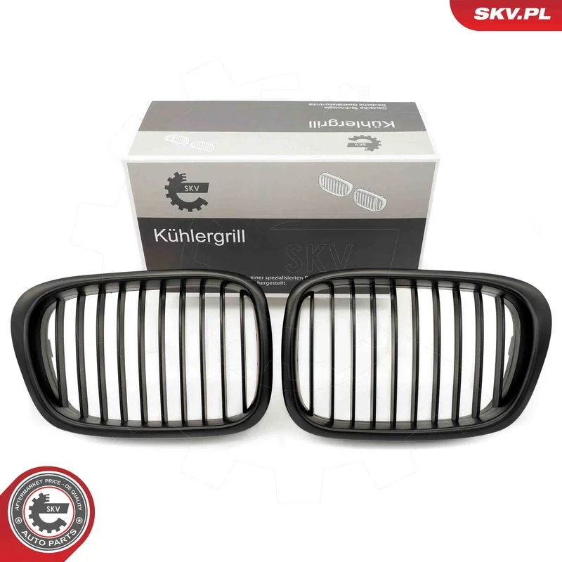 Radiator Grille ESEN SKV 66SKV158