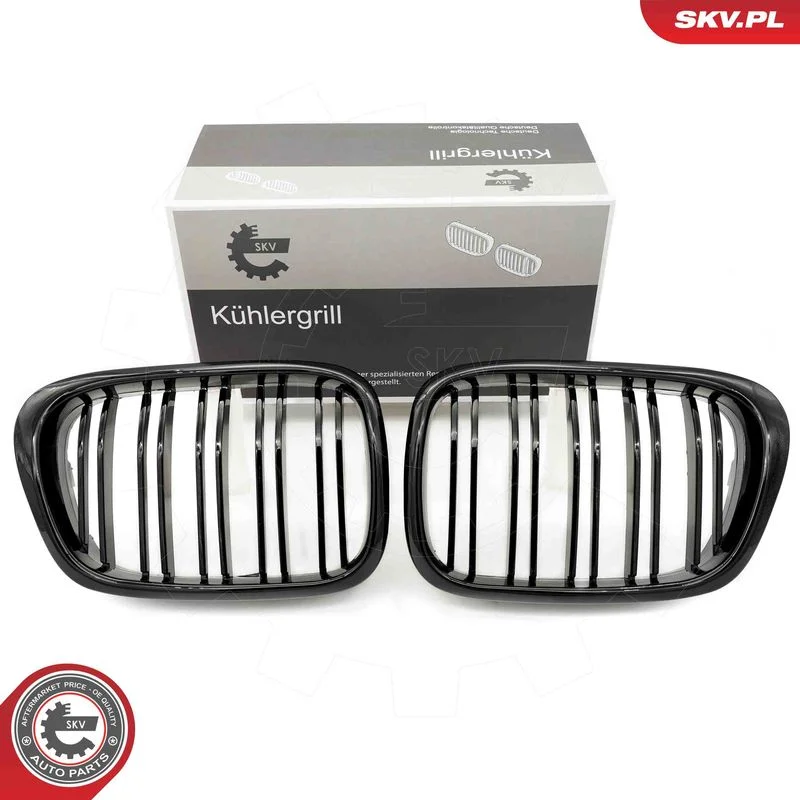 Radiator Grille ESEN SKV 66SKV161