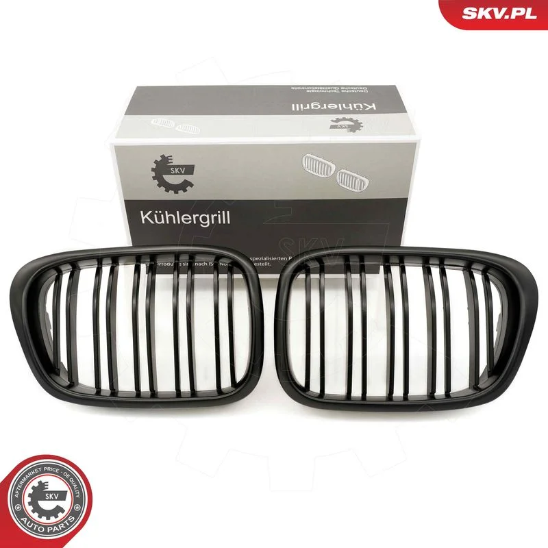 Grelha do radiador ESEN SKV 66SKV162