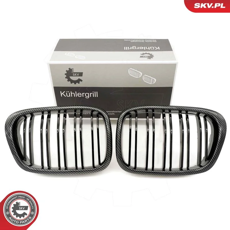 Grelha do radiador ESEN SKV 66SKV163