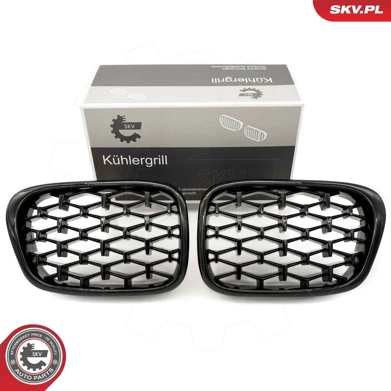 Radiator Grille ESEN SKV 66SKV164