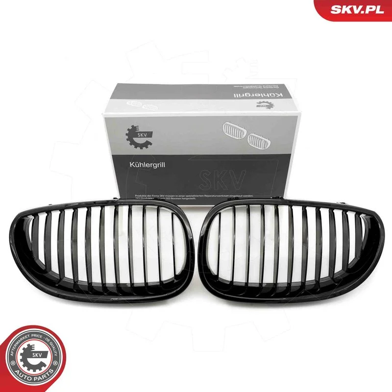Radiator Grille ESEN SKV 66SKV165