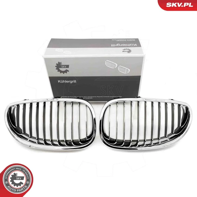Grelha do radiador ESEN SKV 66SKV168