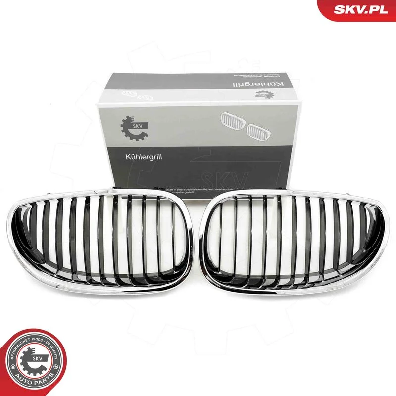 Grelha do radiador ESEN SKV 66SKV169