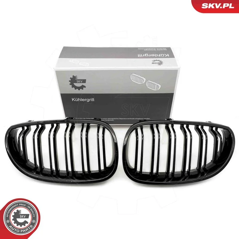 Radiator Grille ESEN SKV 66SKV171
