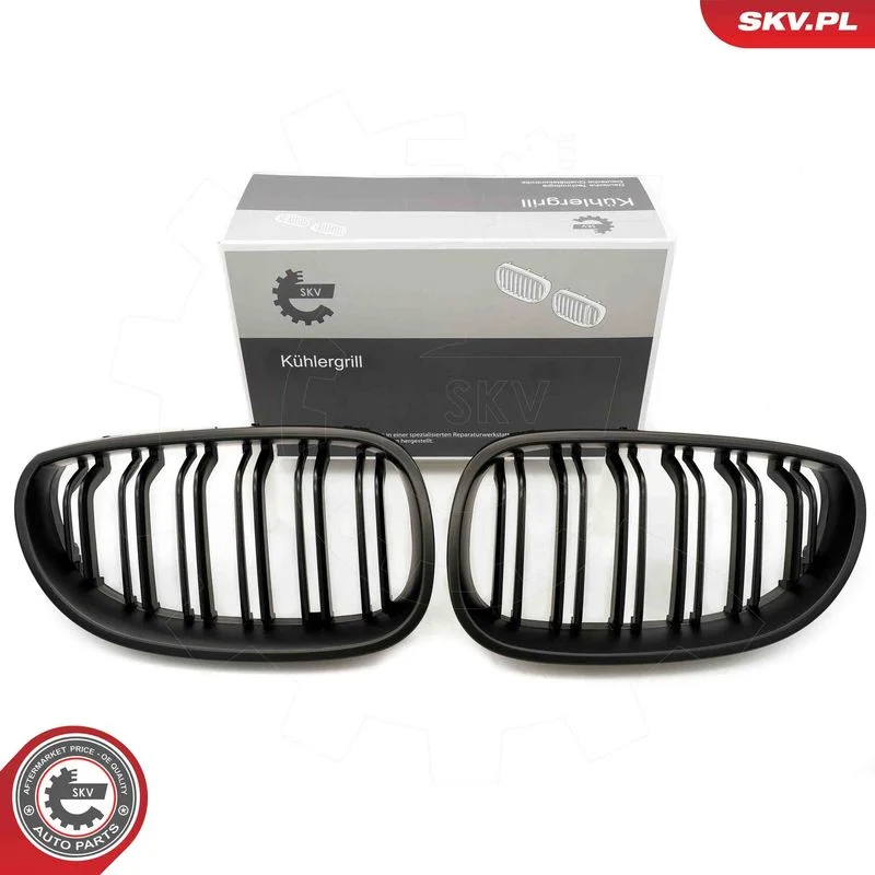 Radiator Grille ESEN SKV 66SKV173