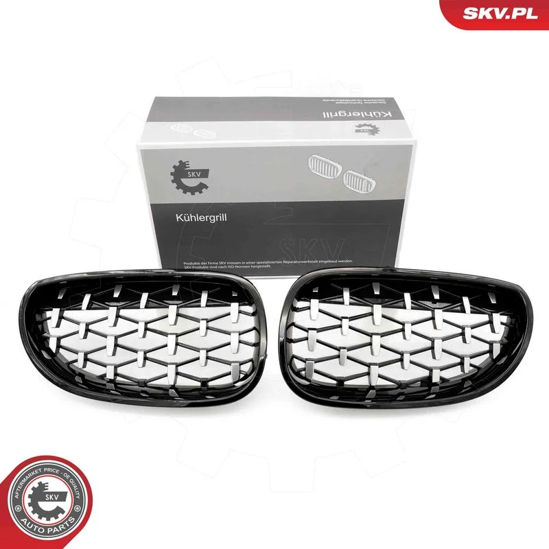 Grelha do radiador ESEN SKV 66SKV175