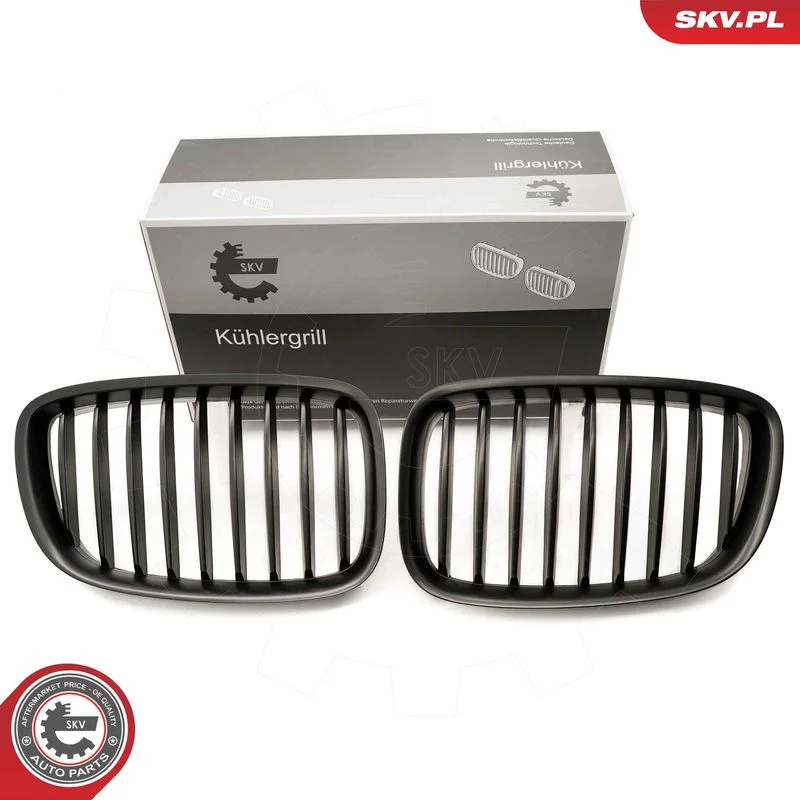 Grelha do radiador ESEN SKV 66SKV177