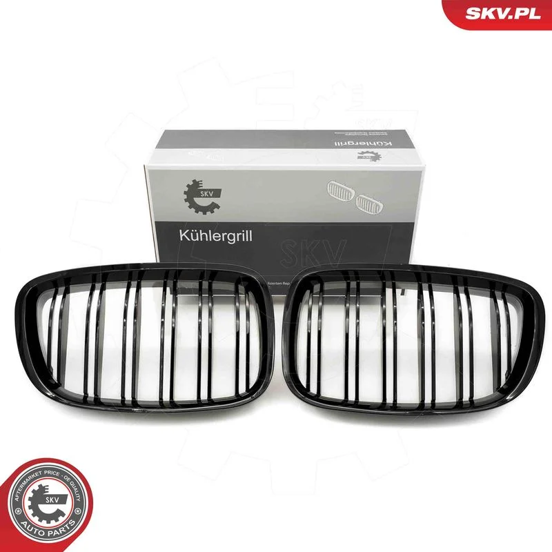 Grelha do radiador ESEN SKV 66SKV178