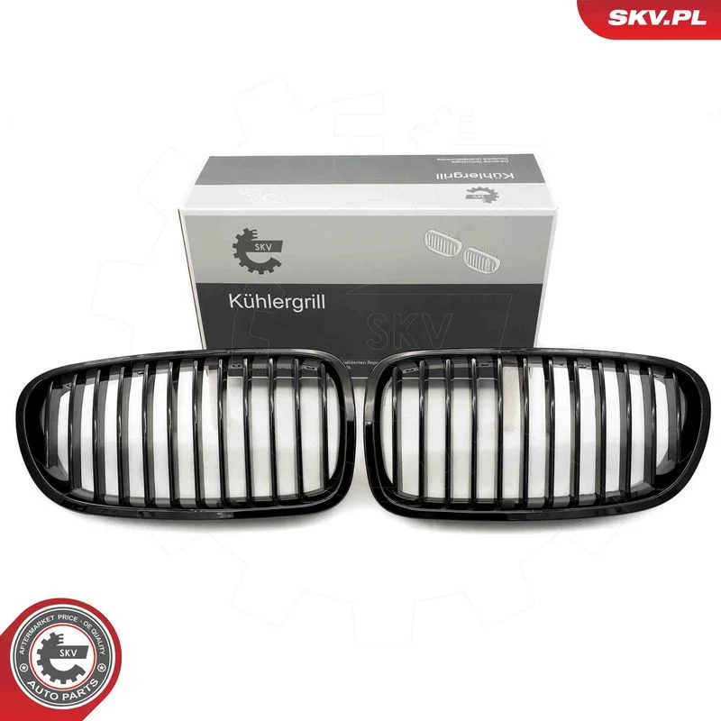 Radiator Grille ESEN SKV 66SKV179