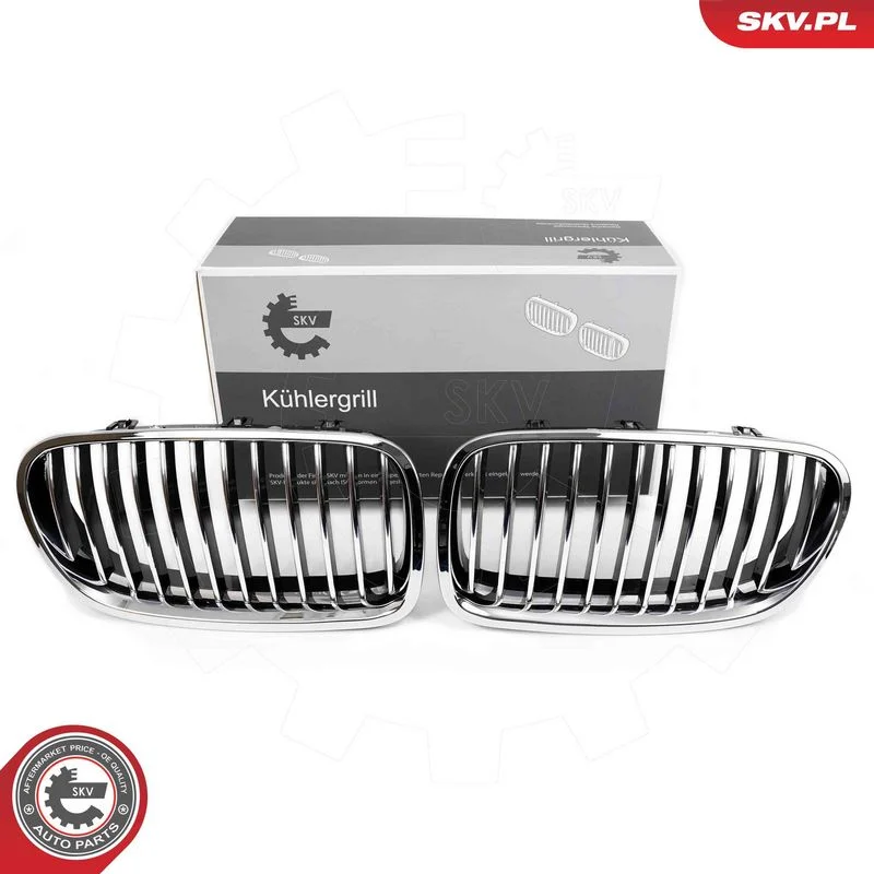 Grelha do radiador ESEN SKV 66SKV182