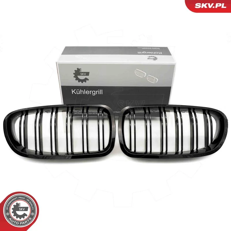 Radiator Grille ESEN SKV 66SKV183