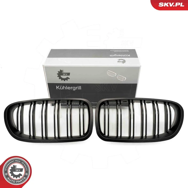 Radiator Grille ESEN SKV 66SKV185