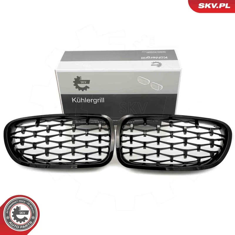 Grelha do radiador ESEN SKV 66SKV190